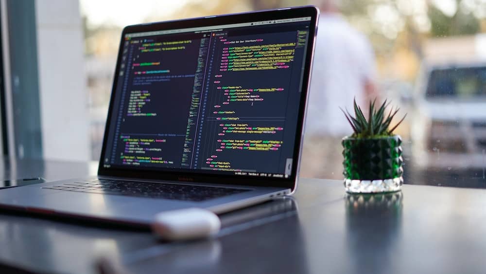 bahasa pemprograman paling dasar untuk web programing
