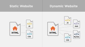 Perbedaan Landing Page dan Website